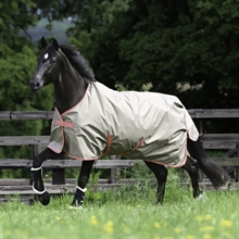 Bucas Freedom Regendecke 